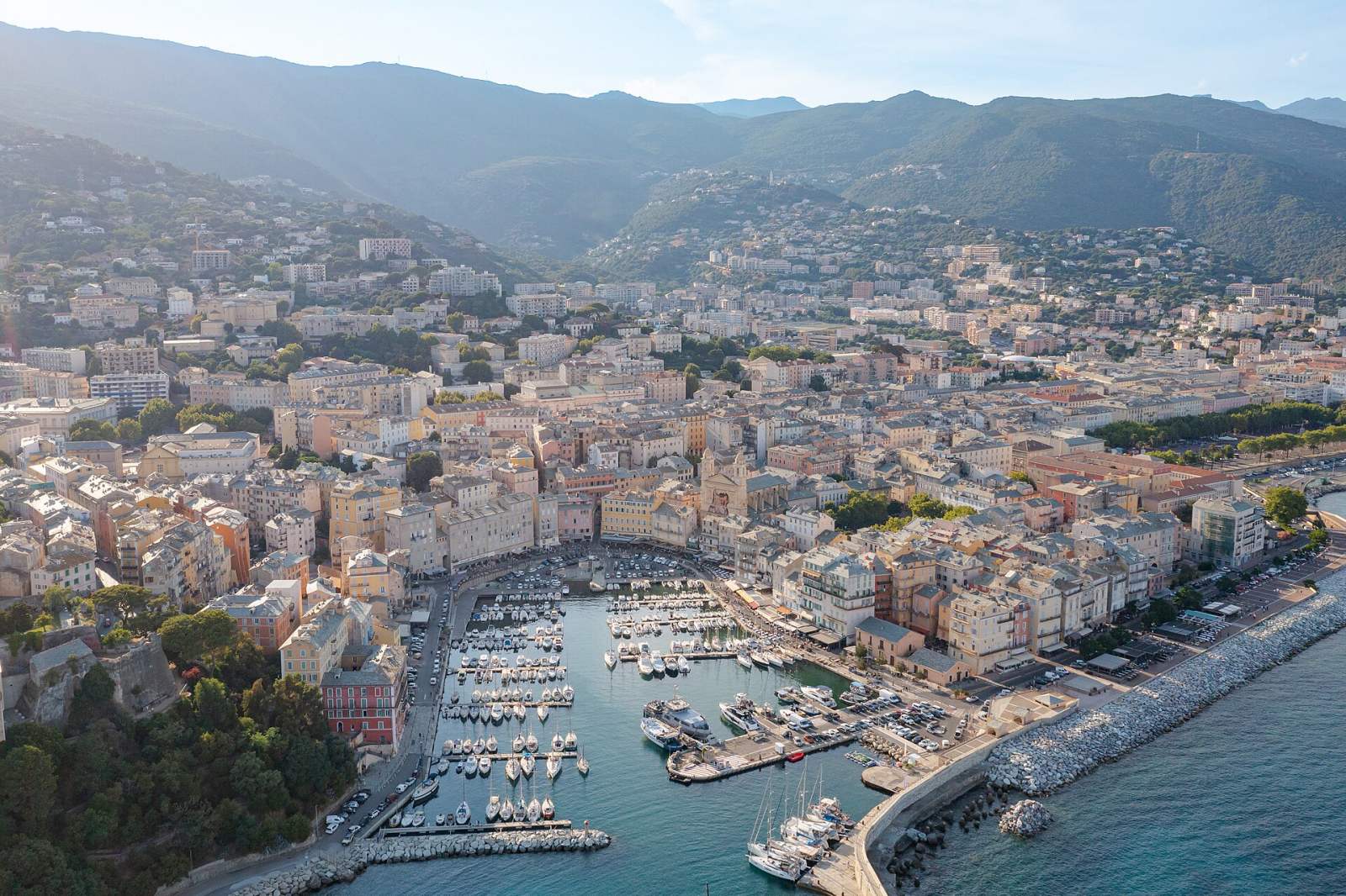 Rencontre cougar Bastia
