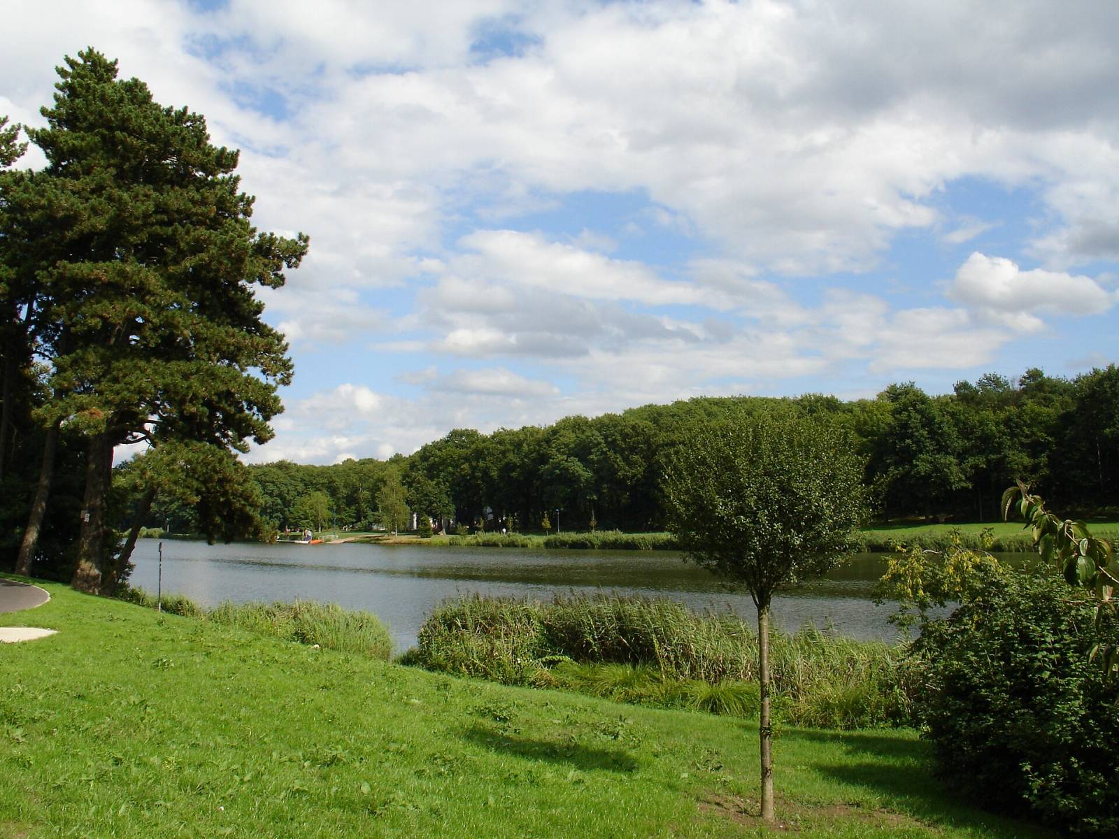 Rencontre cougar Creutzwald
