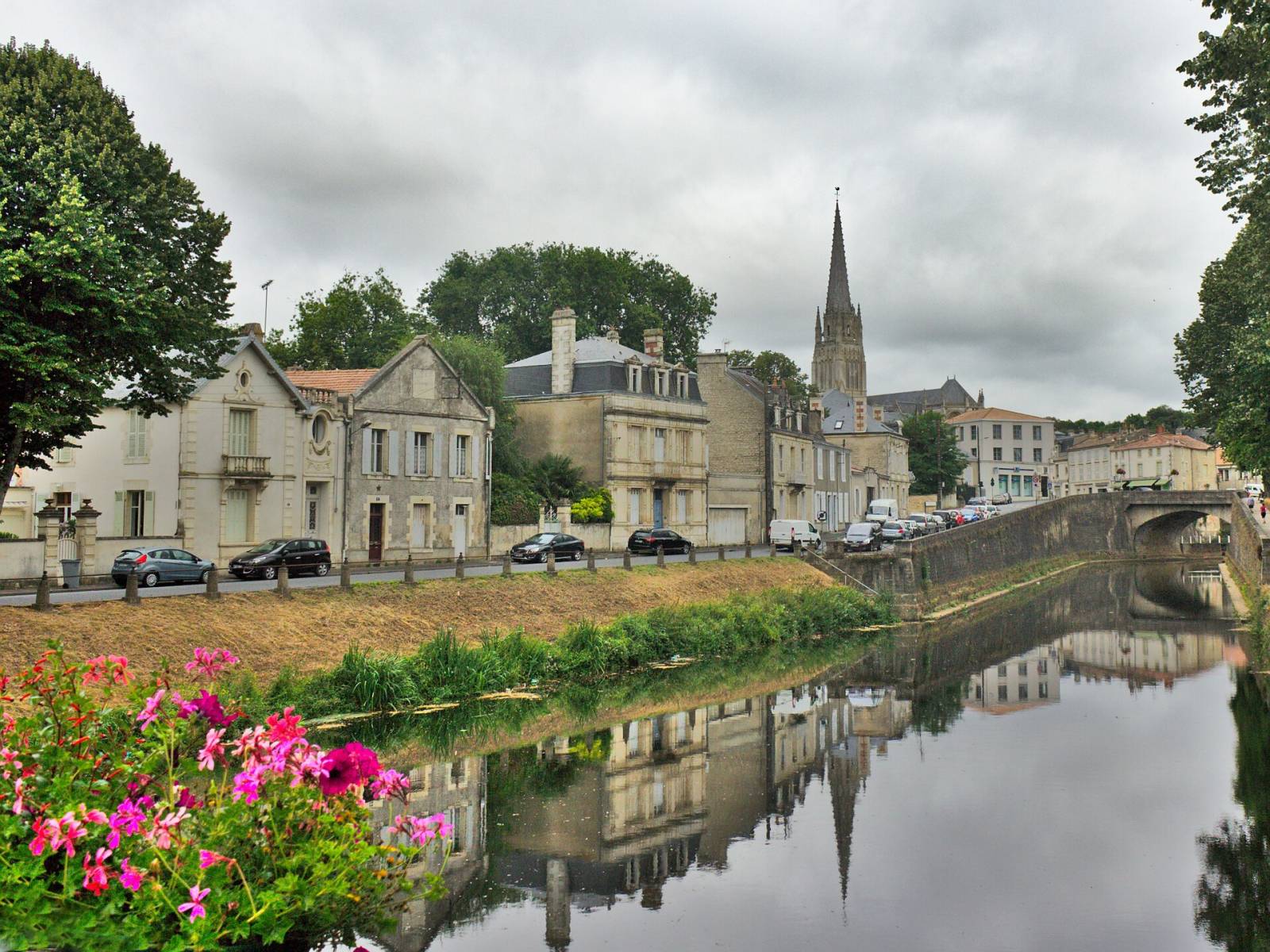 Rencontre cougar Fontenay-le-Comte