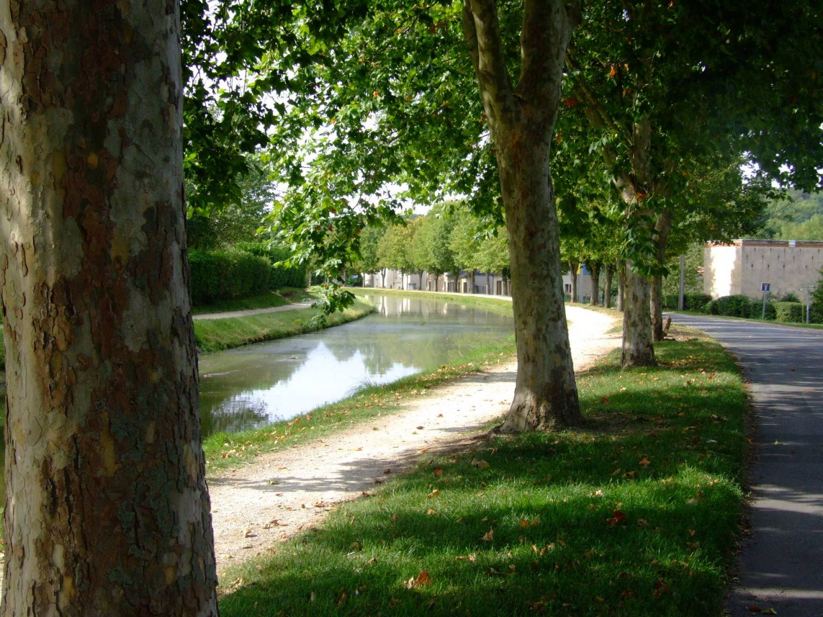 Rencontre cougar Saint-Amand-Montrond