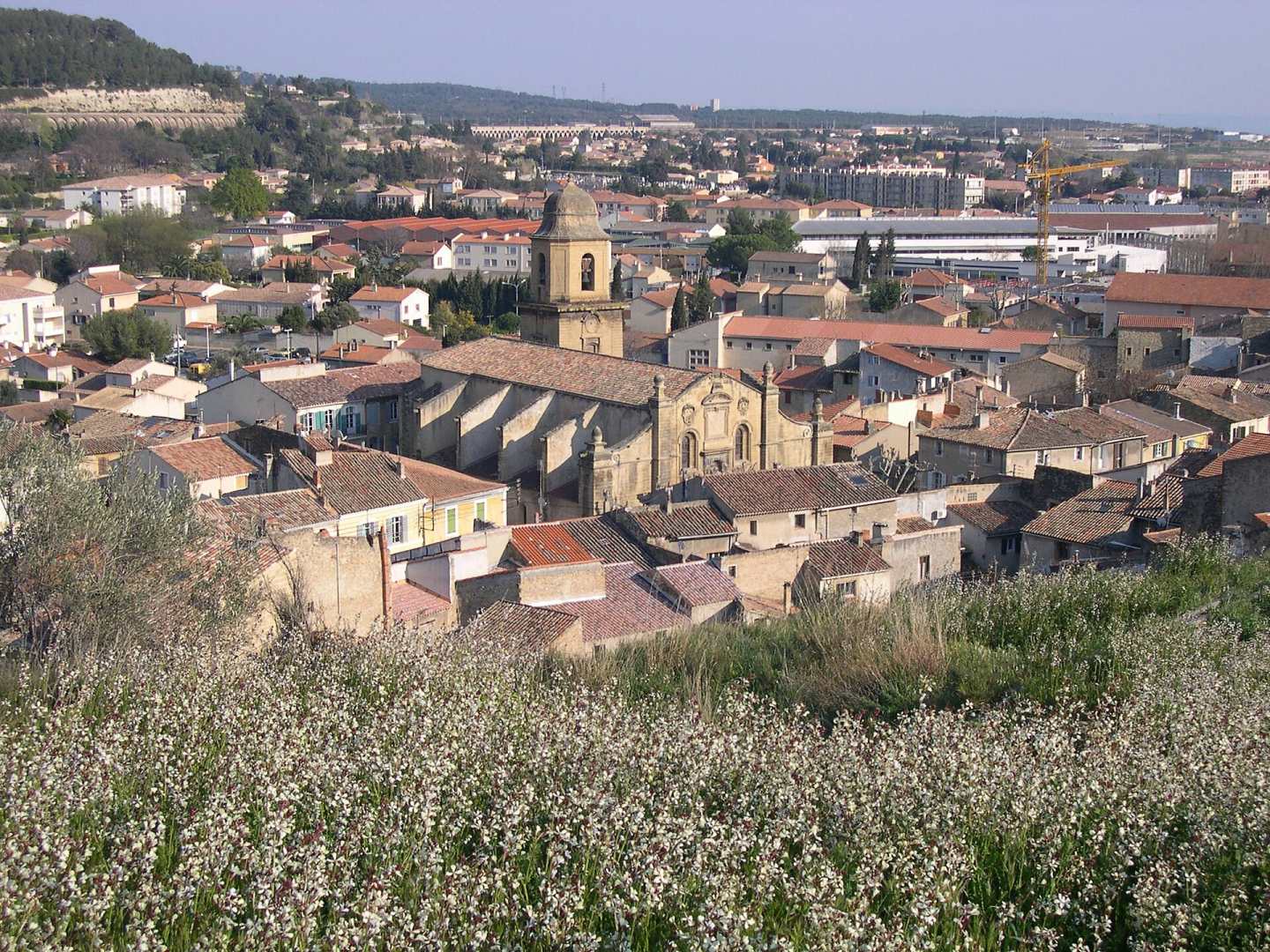 Rencontre cougar Saint-Chamas