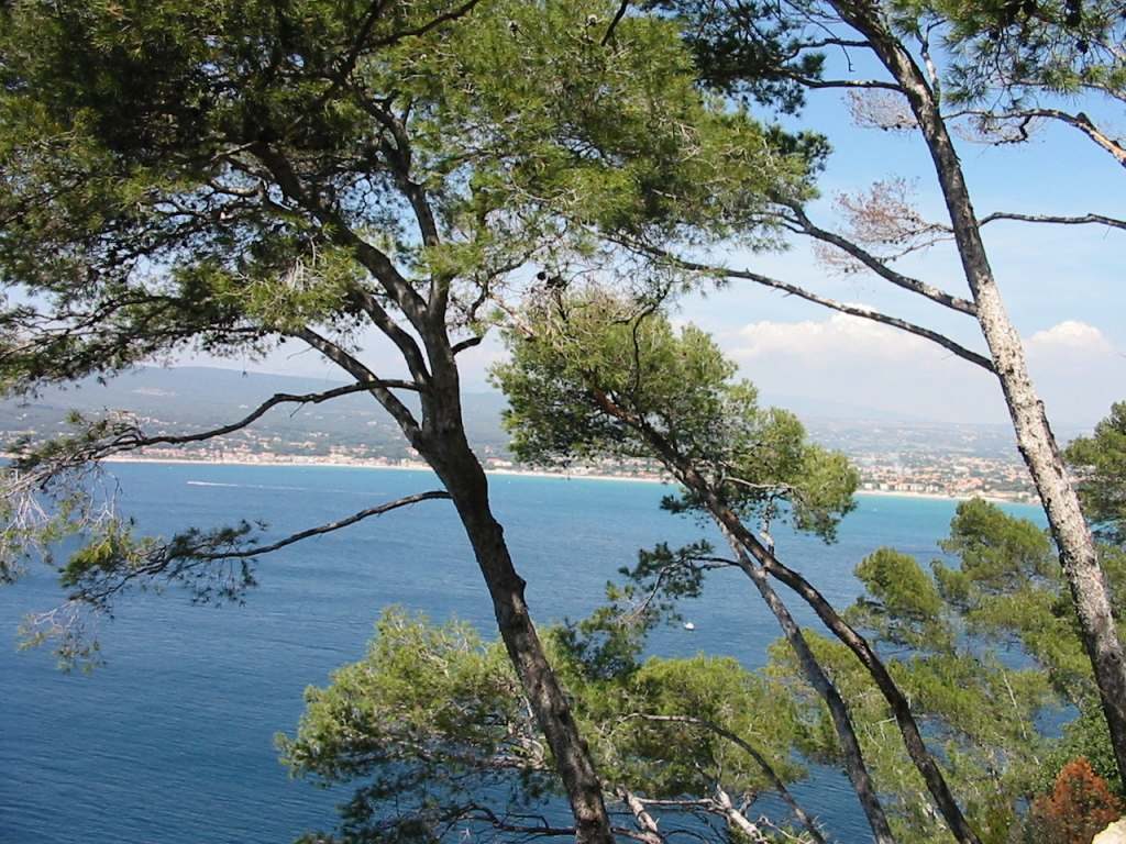 Rencontre cougar Saint-Cyr-sur-Mer